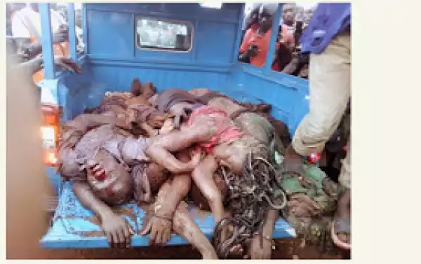 Many Passengers Dead As Truck Falls On Vehicle In Benue State. Graphic Photos